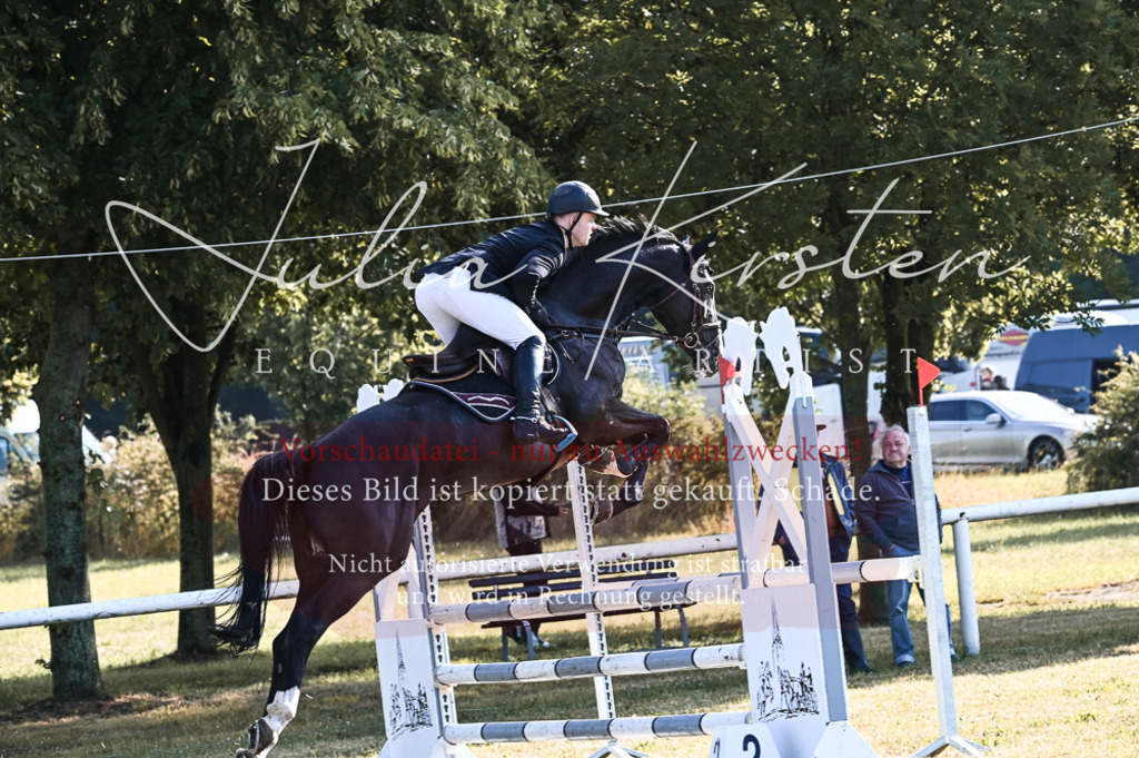 DSC_7525 | Pferde- und Turnierfotografie in Westsachsen. Pferdeportraits, Auftragszeichnungen und intuitive Kunst.