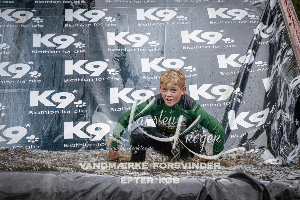 1204_ZZ94264 | kk-dogfotos