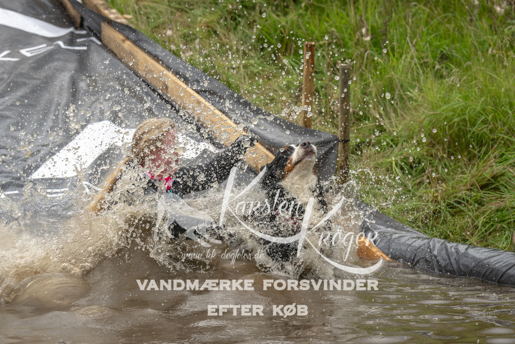 1554_ZZ91408 | kk-dogfotos