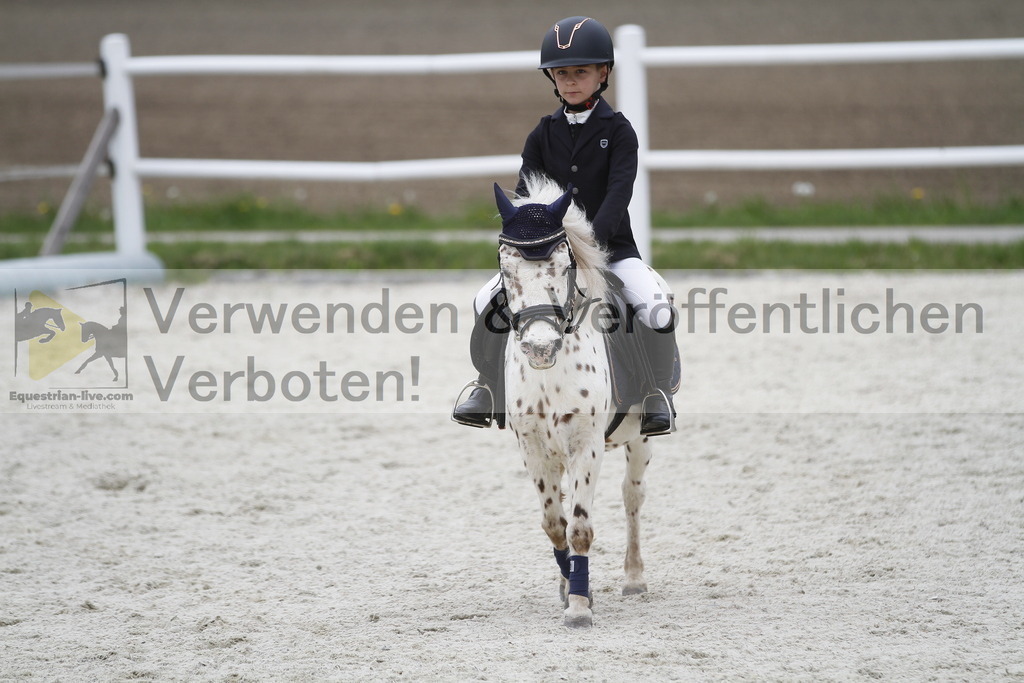 _MG_3777 | equestrian-live-com