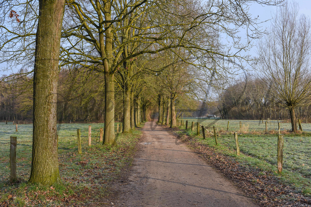 Landschaft-1-5 | fotografie-derks - Realisiert mit Pictrs.com