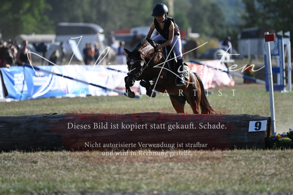 DSC_8967 | Pferde- und Turnierfotografie in Westsachsen. Pferdeportraits, Auftragszeichnungen und intuitive Kunst.