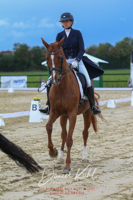 DKP44853 | Turniersportfotografie; Pferdefotografie; Dressurfotografie