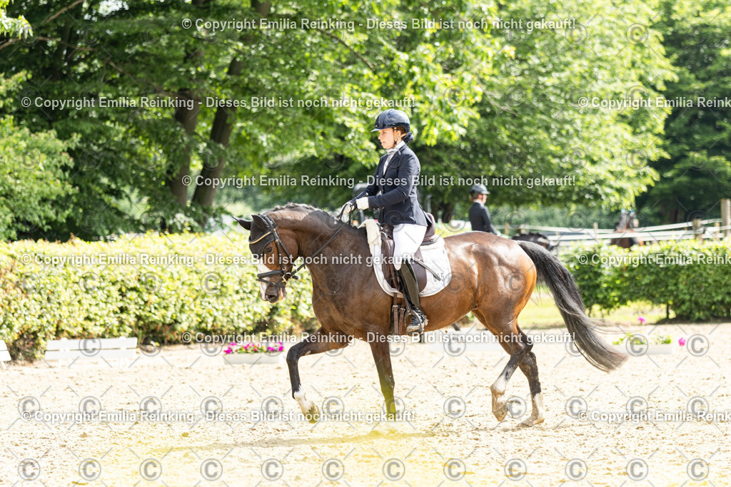 CL5A6026 | Emilia Reinking Fotografie - Realisiert mit Pictrs.com