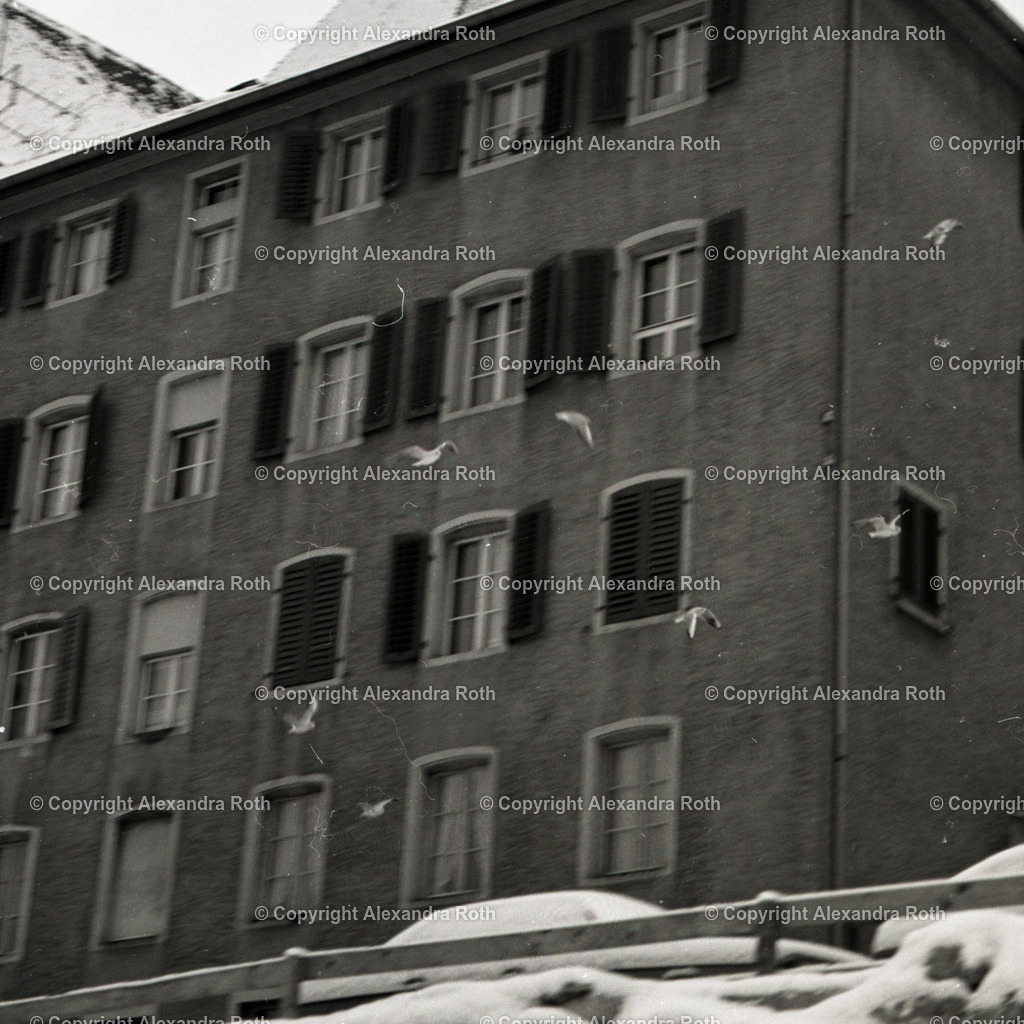 Aarau_0998 | onlineshop - Realisiert mit Pictrs.com