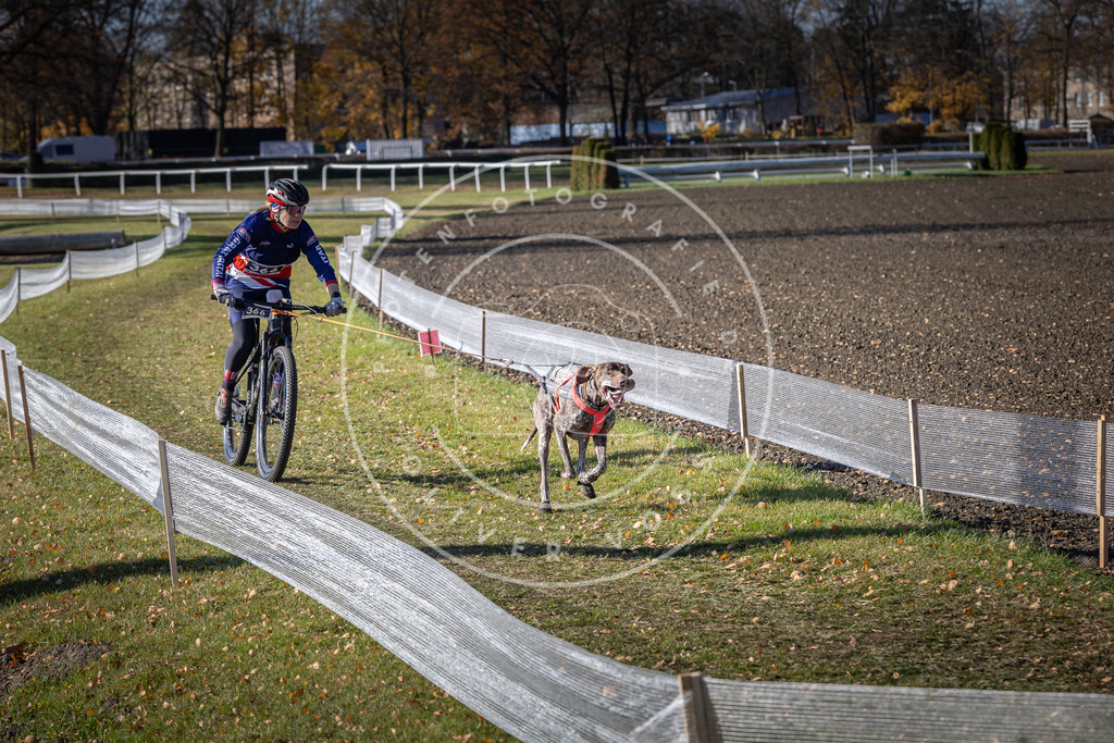 CaniXpix_DV3A7545 | Hundefotografie, Tierfotograf, Pfotenfotografie, Fotoshooting Hund, Hunde Portrait, Hundesport, Hundeportraits, Heideshooting, Hunde, Sportfotograf, Hundefotograf, Turnierhundsport, THS,  - Realisiert mit Pictrs.com