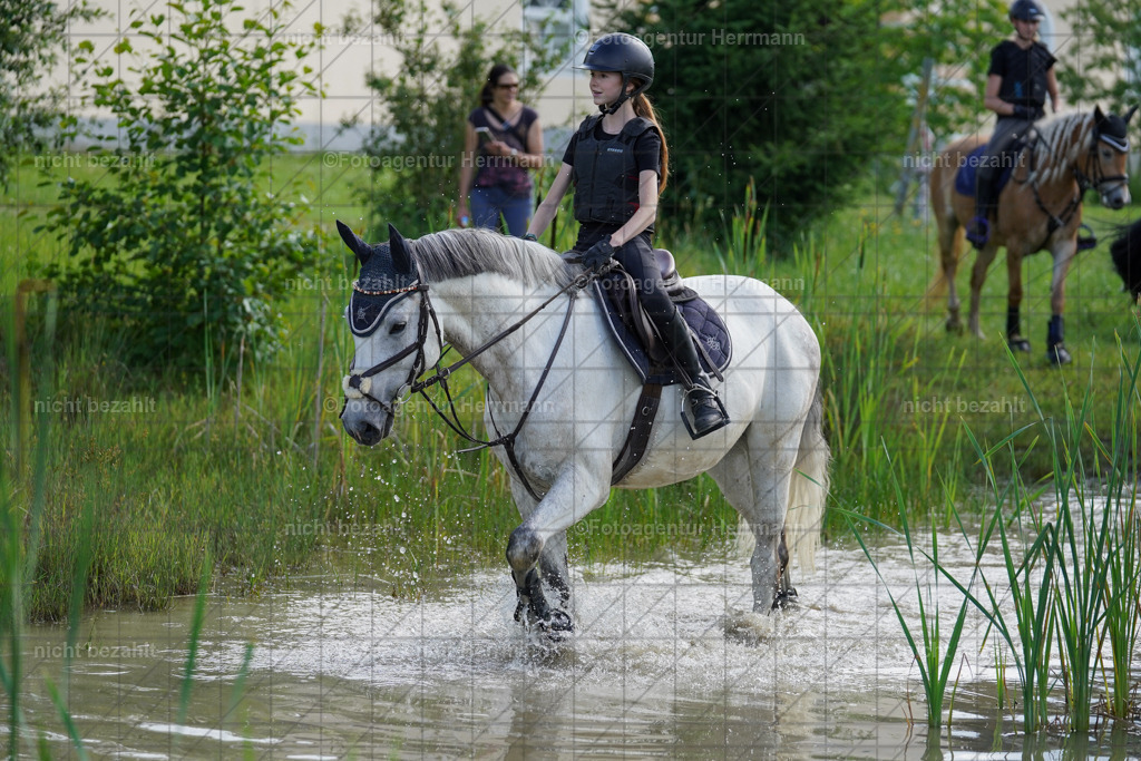 20240622-FAH08107 | Turnierfotografen Bayern, Reitsportbilder aus dem Geländekurs mit Felix Etzel auf dem Gut Waitzacker 2024