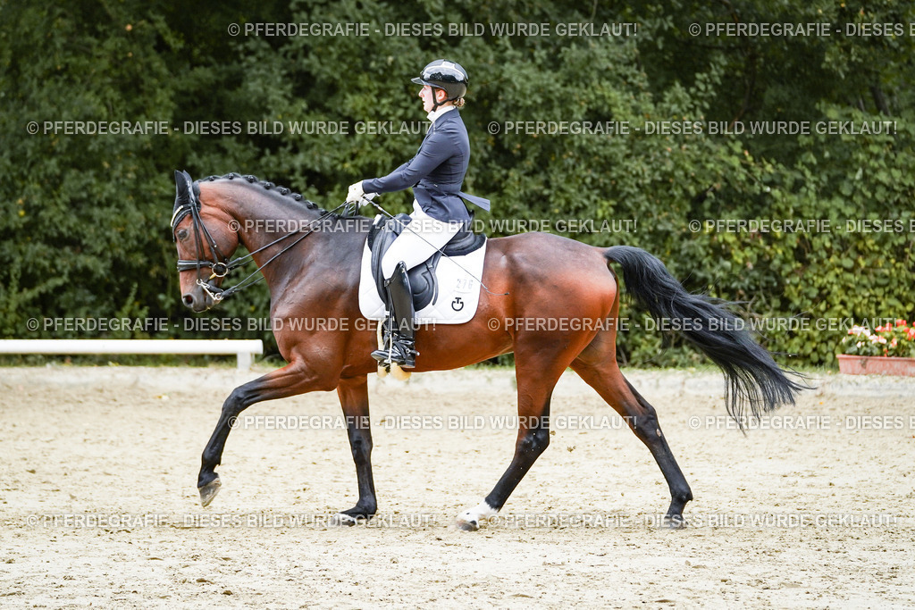 DSC07379 | Pferdegrafie