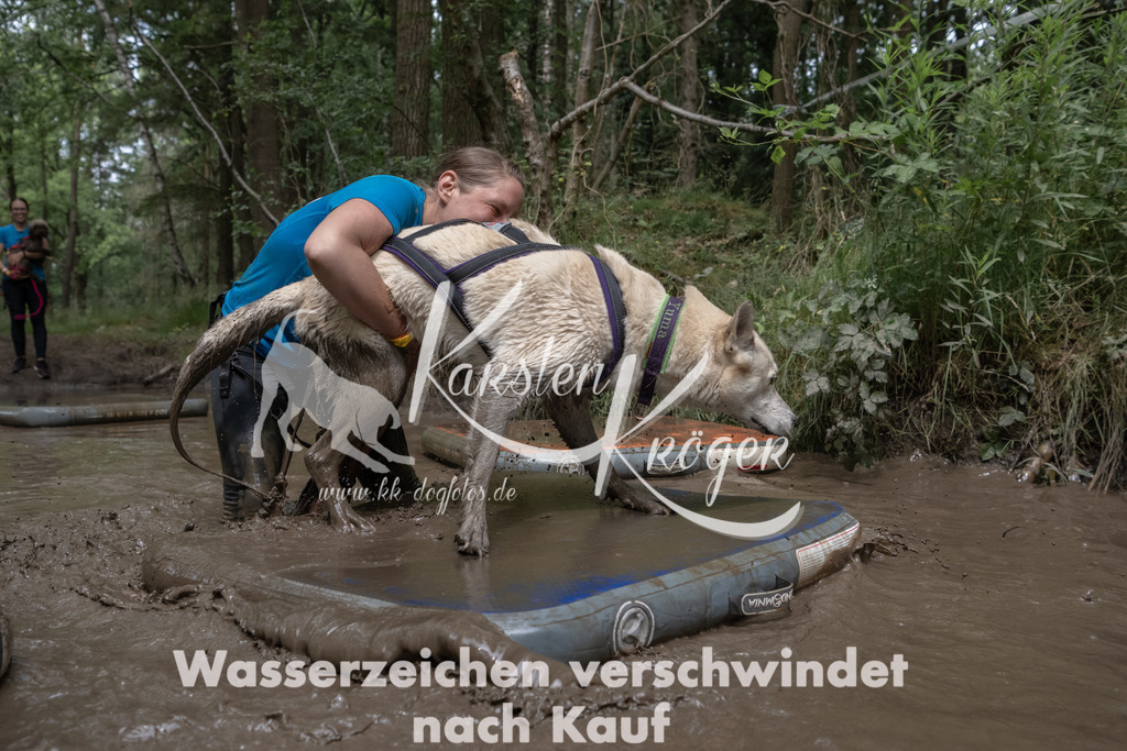 1357_ZZ96472 | kk-dogfotos