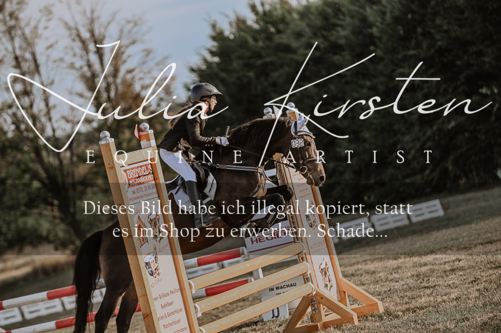 DSC_0268 | Pferde- und Turnierfotografie in Westsachsen. Pferdeportraits, Auftragszeichnungen und intuitive Kunst.