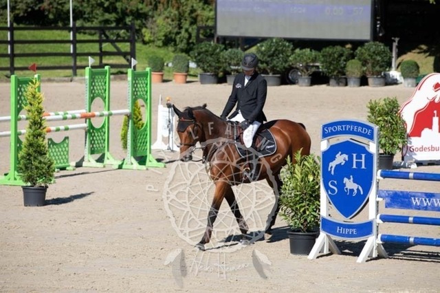 2B4A0399 | pixelfaenger - Realisiert mit Pictrs.com