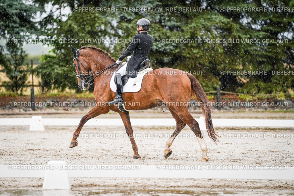 DSC09049 | Pferdegrafie