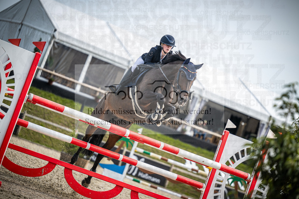 DOS_0382 | Entdecke hochwertige Reitturnierfotos von Foto Oger. Professionell, emotional und authentisch – jetzt Lieblingsmomente im Shop bestellen.Deutschlandweite Turnierfotografie. - Realisiert mit Pictrs.com