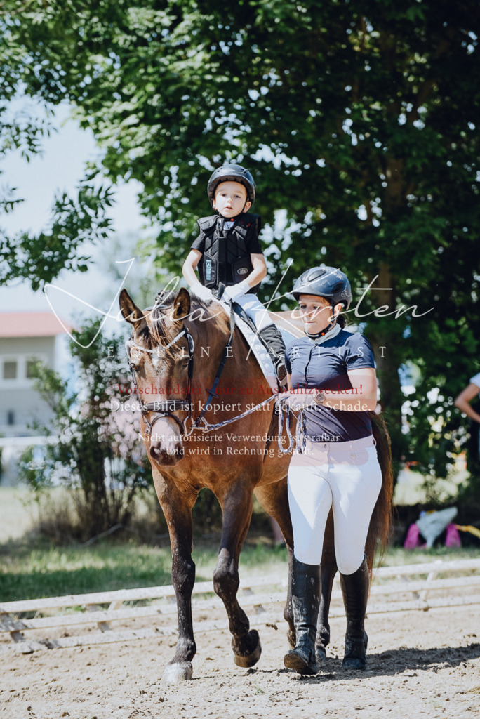 DSC_2491 | Pferde- und Turnierfotografie in Westsachsen. Pferdeportraits, Auftragszeichnungen und intuitive Kunst.