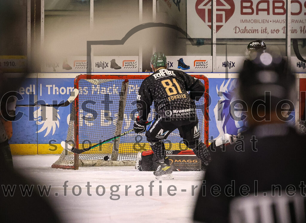 2024-03-08_029_TSV_Erding_gegen_EHC_Koenigsbrunn | Erding, Deutschland, 08.03.2024:
Eishockey, Bayernliga Playoffs 2023 / 2024, 1. Spieltag, TSV Erding gegen EHC Königsbrunn, Endergebnis: 3:0

Maximilian Forster (Erding Gladiators, #81), Torwart Stefan Vajs (EHC Königsbrunn, #32)

Foto: Christian Riedel / fotografie-riedel.net