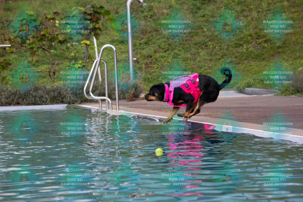 _HP_7597_1000o | HetPix, HetPix Fotodesign, Fotografie, Fotodesign, Webshop, Sportfotografie, Portraitfotografie, Onlineshop, Sportfotografie, Polch, Motorsportfotografie, Eventfotografie