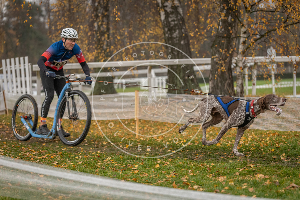 CaniXpix_DV3A7781 | Hundefotografie, Tierfotograf, Pfotenfotografie, Fotoshooting Hund, Hunde Portrait, Hundesport, Hundeportraits, Heideshooting, Hunde, Sportfotograf, Hundefotograf, Turnierhundsport, THS,  - Realisiert mit Pictrs.com