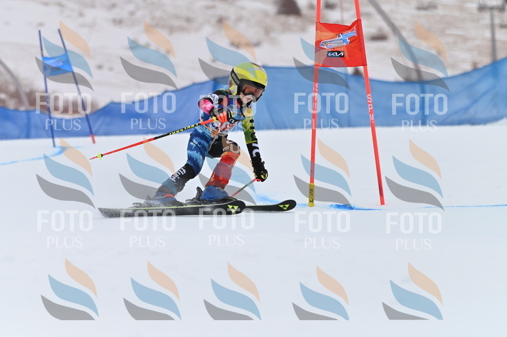 BGV_1200 | holidayphoto