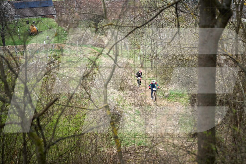 34. KTM Kamptal Trophy  | ZÖBING, Österreich – 2026-03-29: 34. KTM Kamptal TrophyFoto: © 2026 Martin Bihounek - MB Creative e.U.