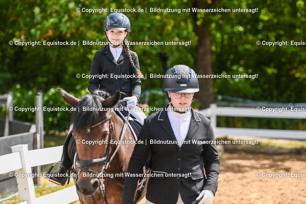 20230716_11_Führzügel-WB_0057 | equistock