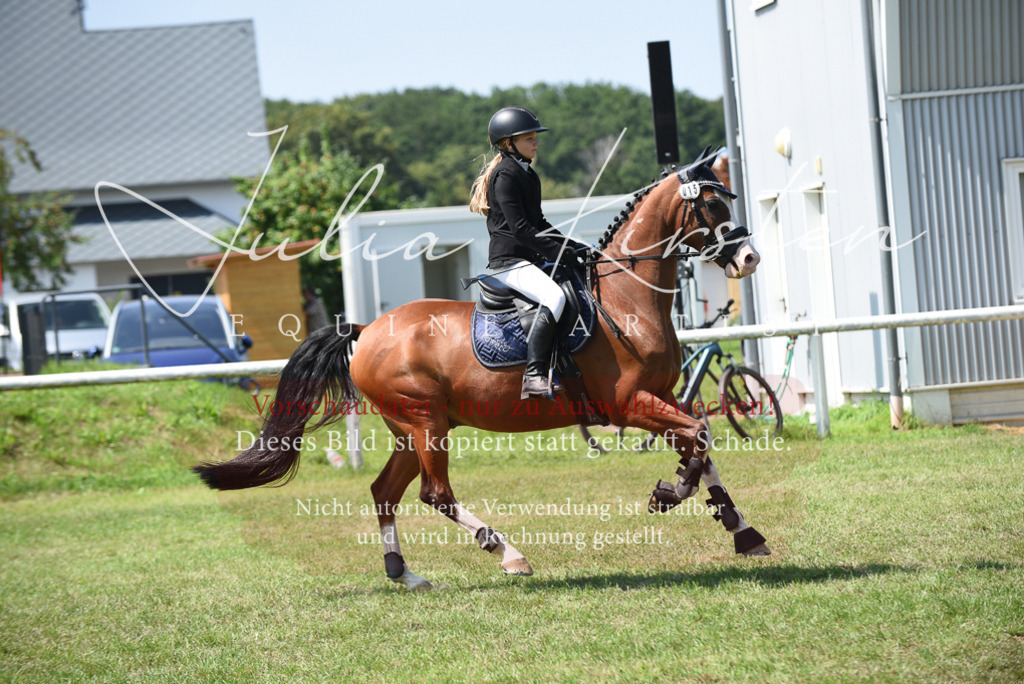 DSC_9993 | Pferde- und Turnierfotografie in Westsachsen. Pferdeportraits, Auftragszeichnungen und intuitive Kunst.