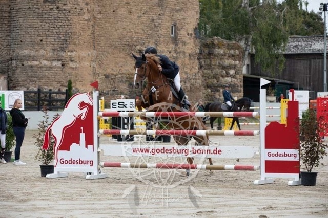 2B4A2388 | pixelfaenger - Realisiert mit Pictrs.com