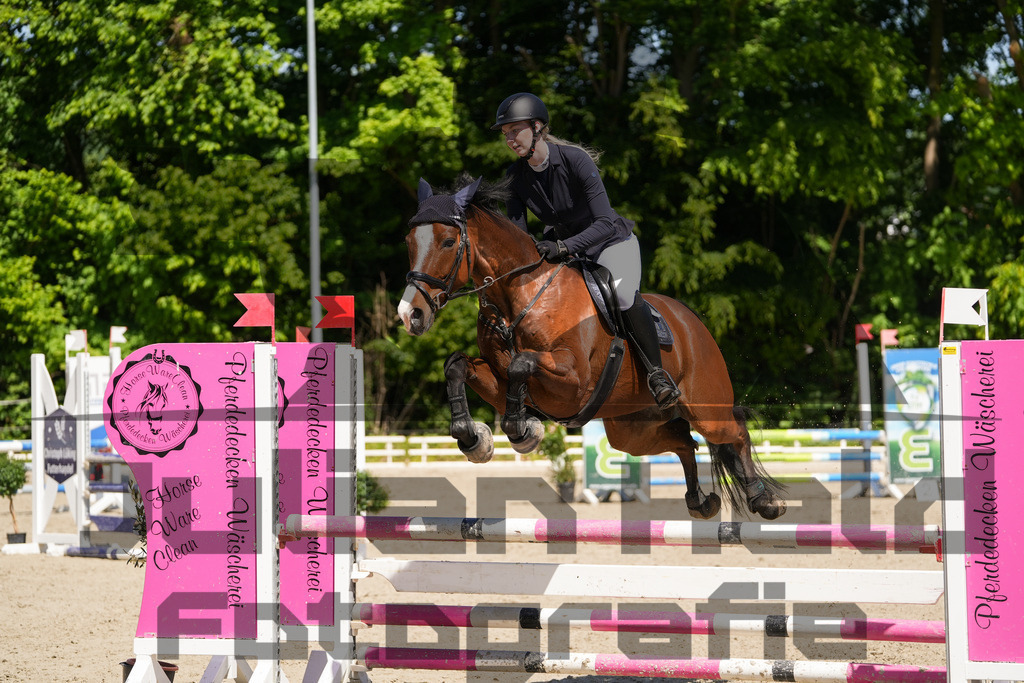 DSC02290 | Julian Held Fotografie - Realisiert mit Pictrs.com