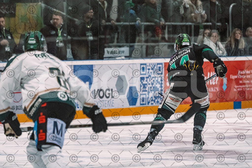 Alligators_vs_Erding_12_12_2025-100 | Höchstadt Alligators Fotogalerie: Eishockey-Action aus Franken. Professionelle Spielfotos, Portraits & Stadionbilder zum Download. Jetzt entdecken! - Realisiert mit Pictrs.com