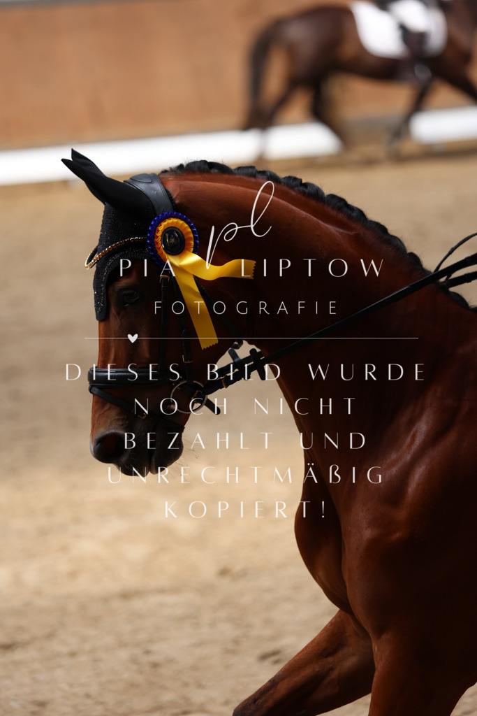 IMGM1682 | pl-fotografie