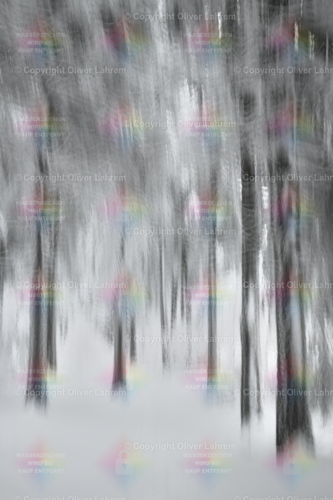 Winterliche Waldimpression 2 | Eine Impressionistische Fotografie eines winterlichen Waldes. Dabei handelt es sich keineswegs um ein Schwarz-Weiß Bild, sondern um eine natürliche Farbaufnahme. Das Bild wurde durch eine Fotografische Aufnahmetechnik realisiert und nicht per Photoshop oder K I .