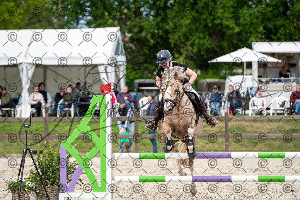 KPT_7393 | andre_photographic