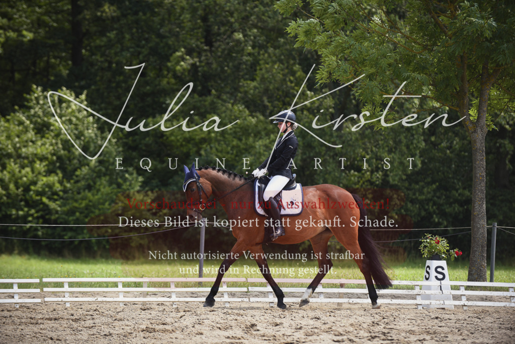 DSC_1399 | Pferde- und Turnierfotografie in Westsachsen. Pferdeportraits, Auftragszeichnungen und intuitive Kunst.