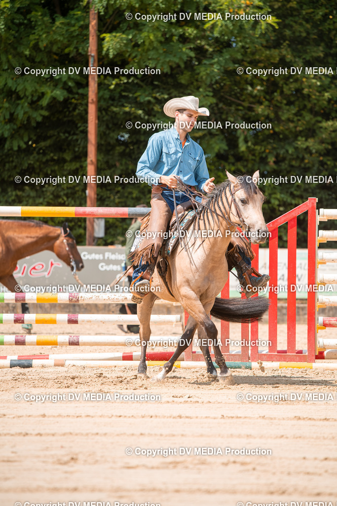 ZS2_8266 | dv-media-shop - Realisiert mit Pictrs.com