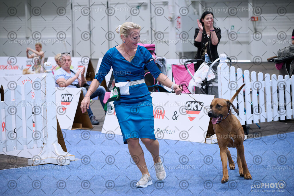 202406_ÖKV-IHA-Tulln24_NZ9_8825 | proPHOTO - Realisiert mit Pictrs.com