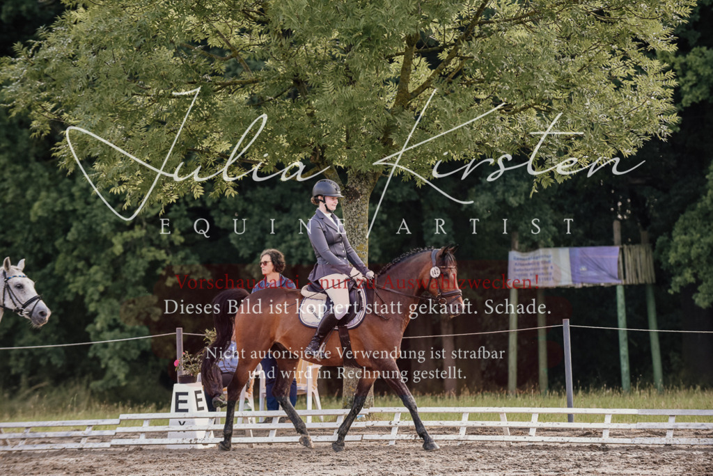 DSC_8359 | Pferde- und Turnierfotografie in Westsachsen. Pferdeportraits, Auftragszeichnungen und intuitive Kunst.