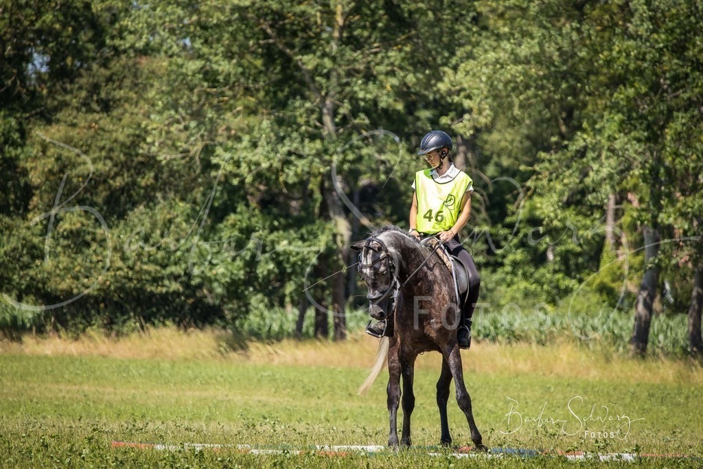 CJP_2026-06-26_125 | Stimmungsvolle Fotografie von Pferden, fotografische Begleitung von Veranstaltungen, Golfturnieren und Distanzritten - Realisiert mit Pictrs.com