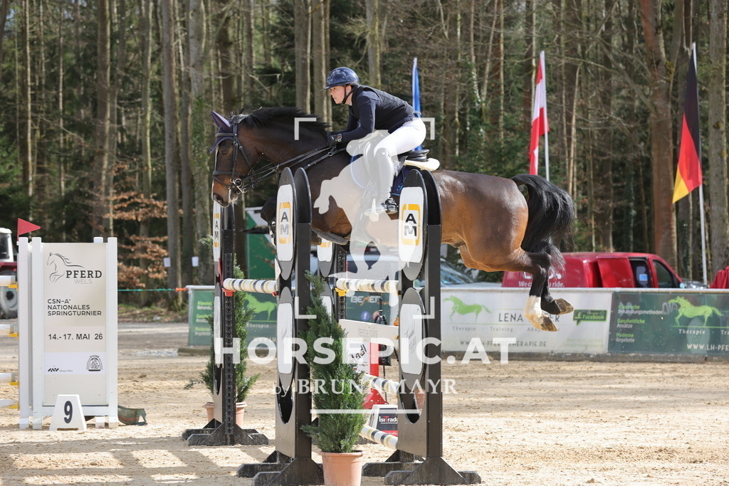 0P6A0065 | Willkommen bei Brunnmayr - Design & Fotografie – Ihrem Spezialisten für Reitturniere und Pferdeveranstaltungen in Oberösterreich, Salzburg und Bayern! Seit über 17 Jahren sind wir leidenschaftlich dabei.