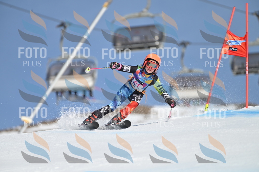 BGV_8735 | holidayphoto