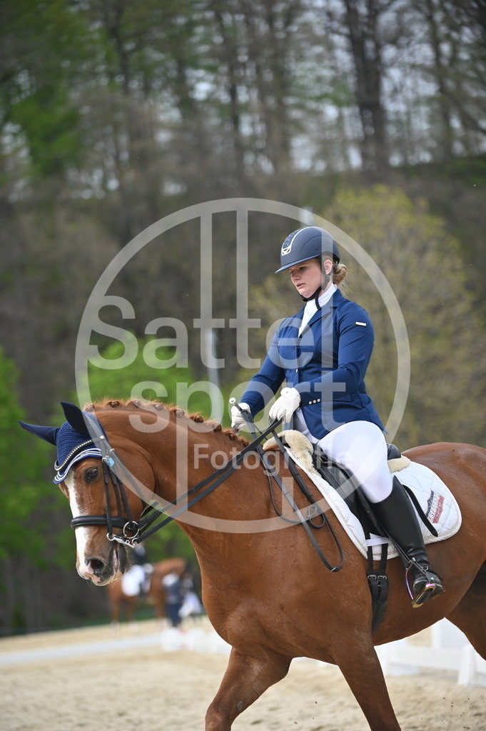 DSC_5012 | sattelsport - Realisiert mit Pictrs.com