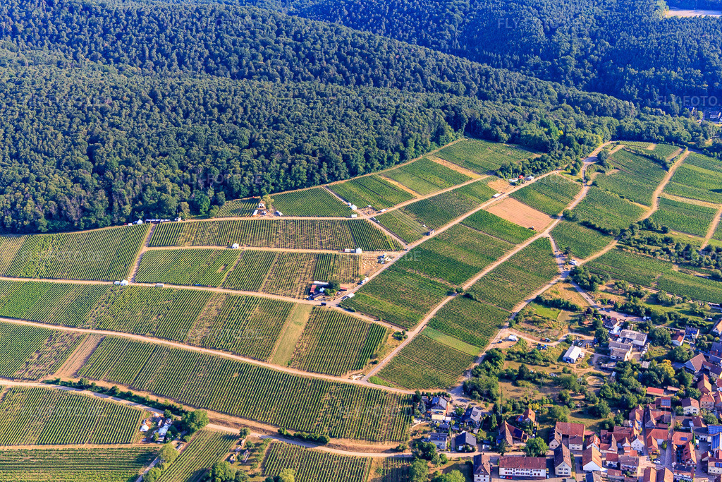 Luftbild: Probierstände im Weinberg für 