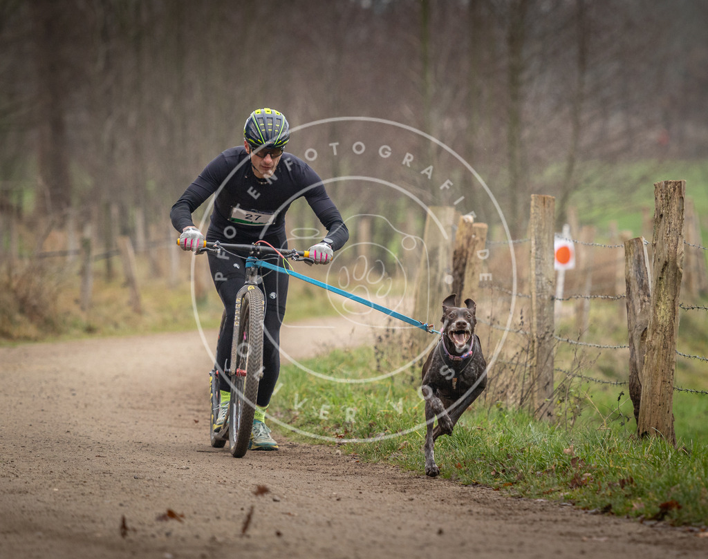 Pfotenfotografie_DV3A2153 | Hundefotografie, Tierfotograf, Pfotenfotografie, Fotoshooting Hund, Hunde Portrait, Hundesport, Hundeportraits, Heideshooting, Hunde, Sportfotograf, Hundefotograf, Turnierhundsport, THS,  - Realisiert mit Pictrs.com