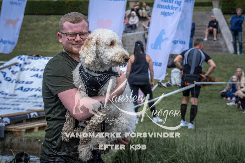 1112_ZZ91531 | kk-dogfotos