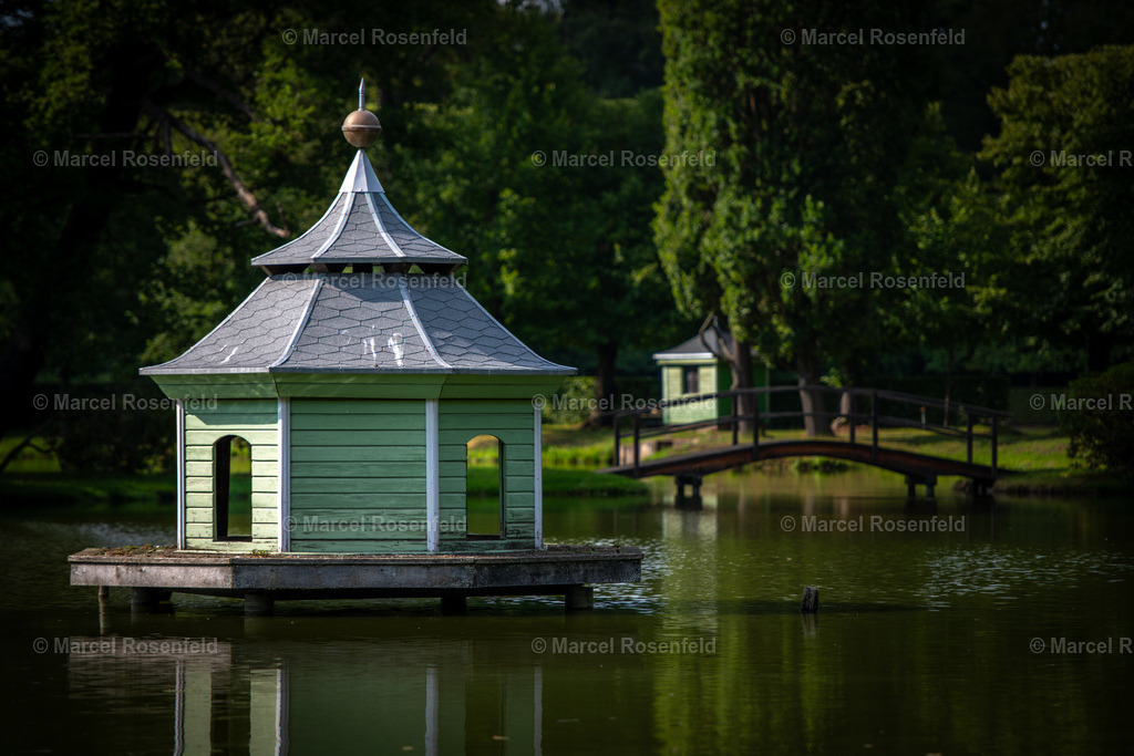 _DSC0626 | foto-rosenfeld