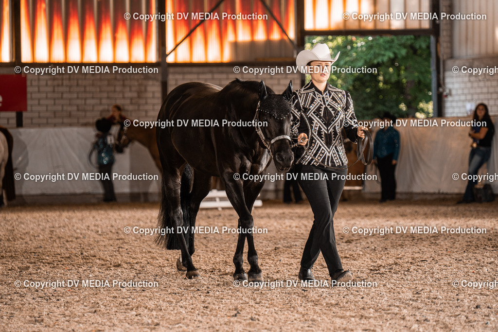 ZH100115 | dv-media-shop - Realisiert mit Pictrs.com
