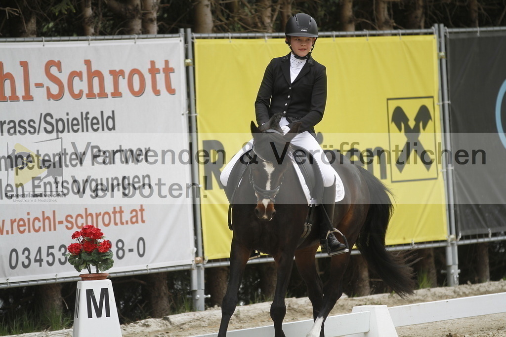 _MG_7893 | equestrian-live-com