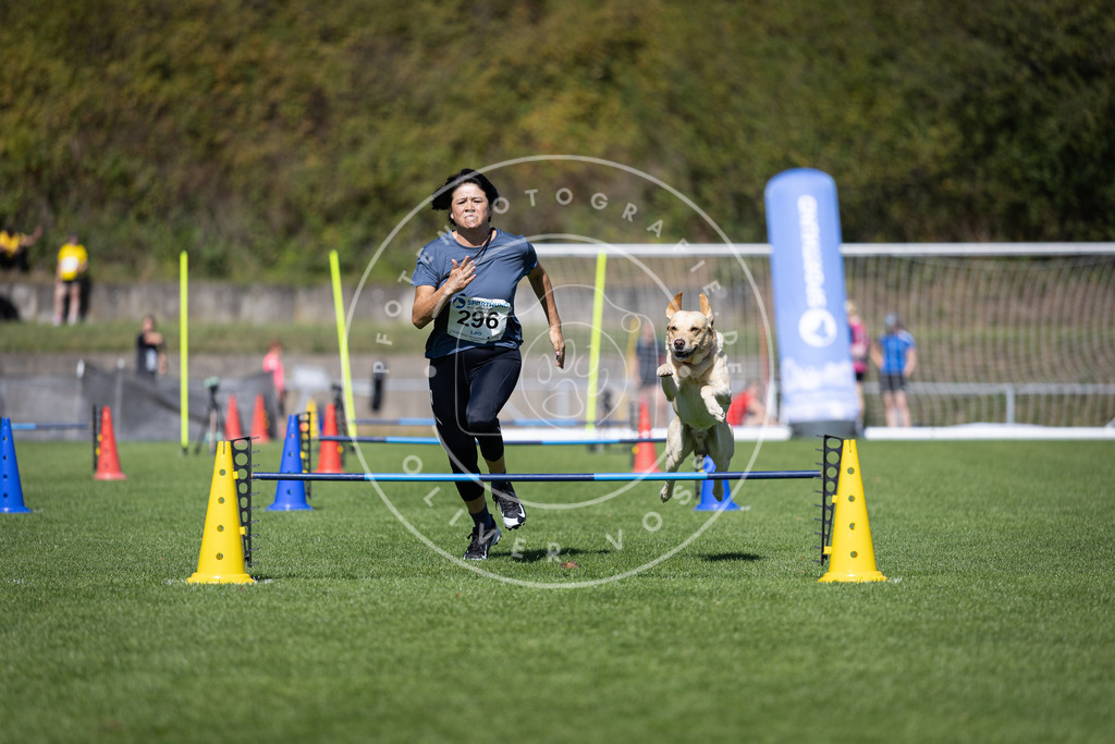 Pfotenfotografie_DV3A7625 | Hundefotografie, Tierfotograf, Pfotenfotografie, Fotoshooting Hund, Hunde Portrait, Hundesport, Hundeportraits, Heideshooting, Hunde, Sportfotograf, Hundefotograf, Turnierhundsport, THS,  - Realisiert mit Pictrs.com
