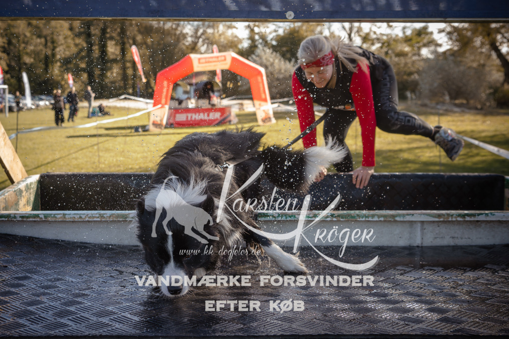 1219_ZZ95464 | kk-dogfotos