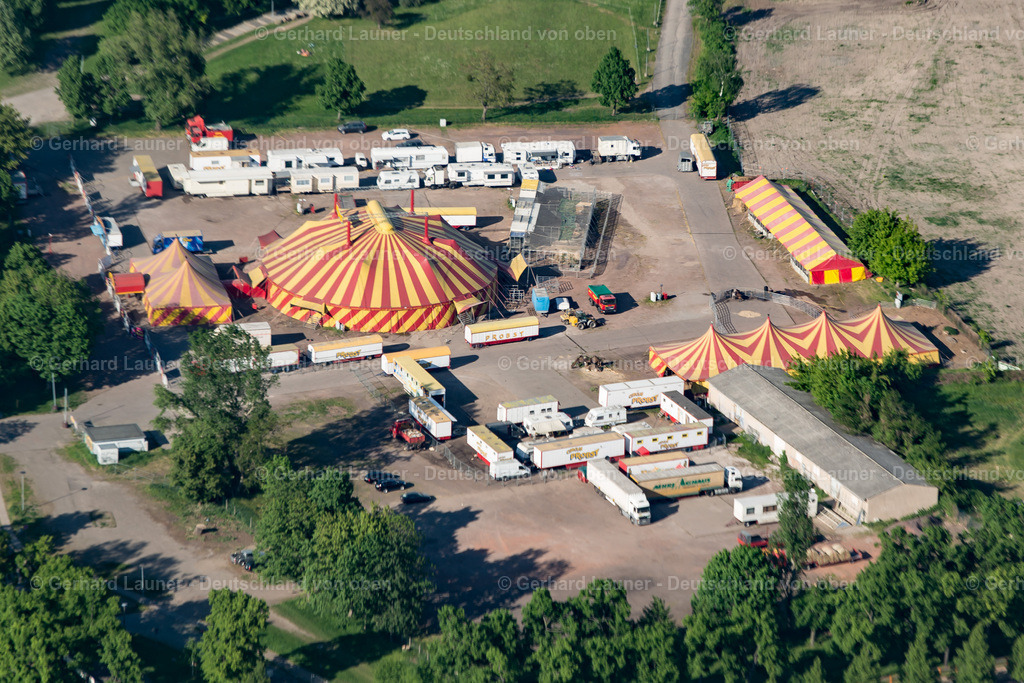 3802898 | Zirkus Probst in Magdeburg