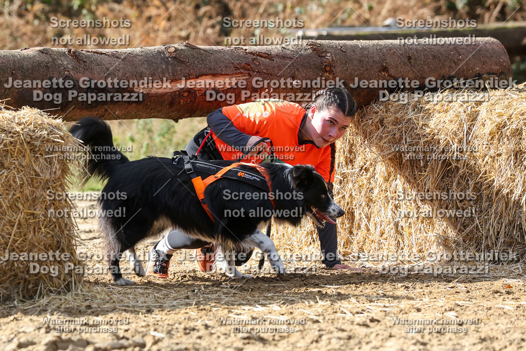 Dog Paparazzi - Strongdog 10-25-5393 | Dog Paparazzi Jeanette Grottendiek Fotografie & Videografie - Realisiert mit Pictrs.com
