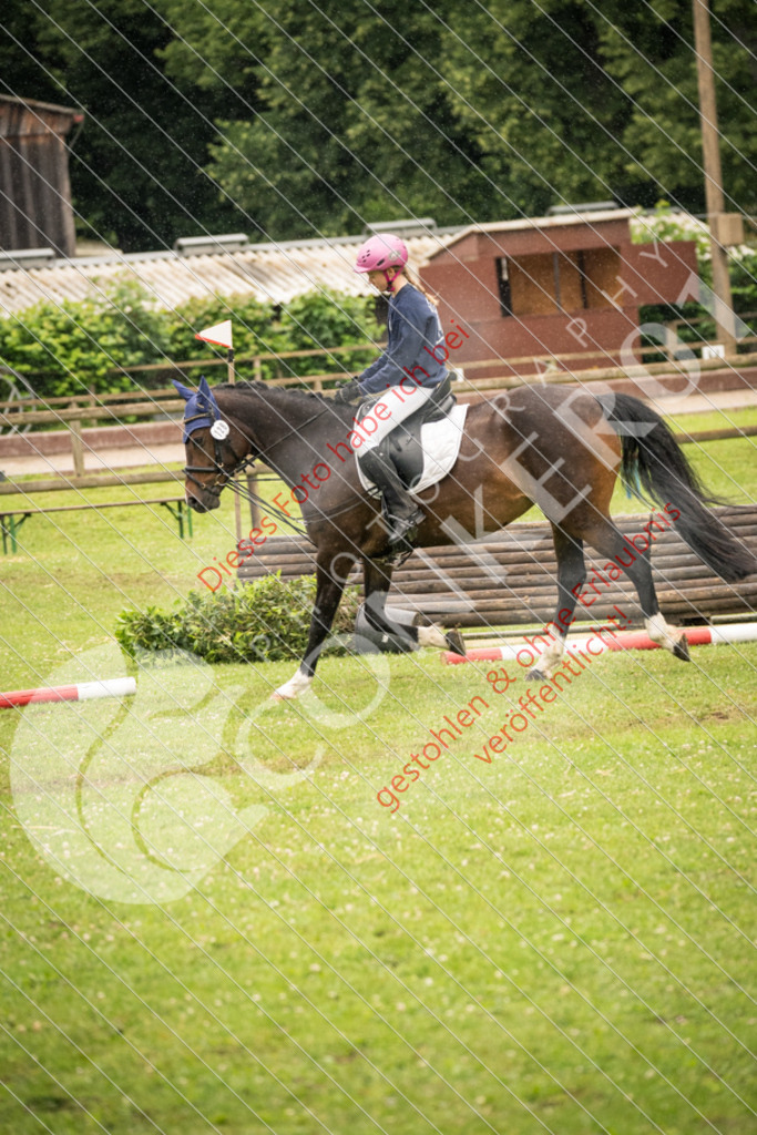DSC_4772 | Sport-, Event- und Tierfotos in Profiqualität. Einfach auswählen, bestellen und herunterladen. Dein Moment – perfekt festgehalten.